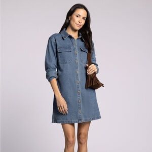 Thread & Supply Chambray Denim Dress, Small
